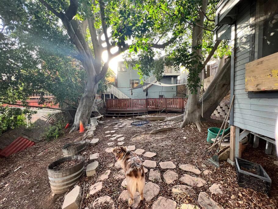 Central San Diego Lower Duplex, Huge Yard, Fenced Bagian luar foto